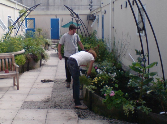 Man and woman work on initial plantings
