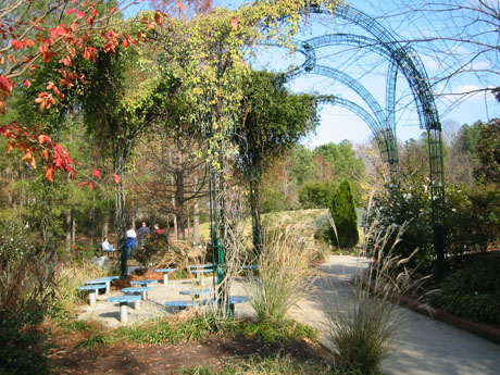 Green curved wire arches with plants growing on them over picnic tables