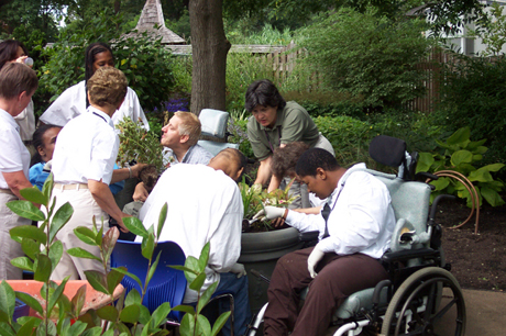Group of people of various abilities participating in potting of plants